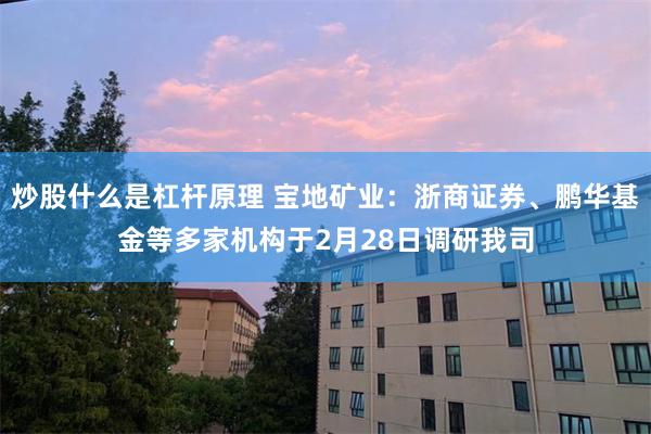 炒股什么是杠杆原理 宝地矿业：浙商证券、鹏华基金等多家机构于2月28日调研我司