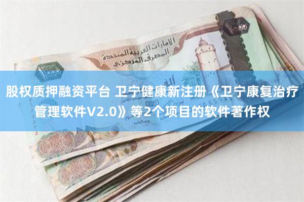 股权质押融资平台 卫宁健康新注册《卫宁康复治疗管理软件V2.0》等2个项目的软件著作权