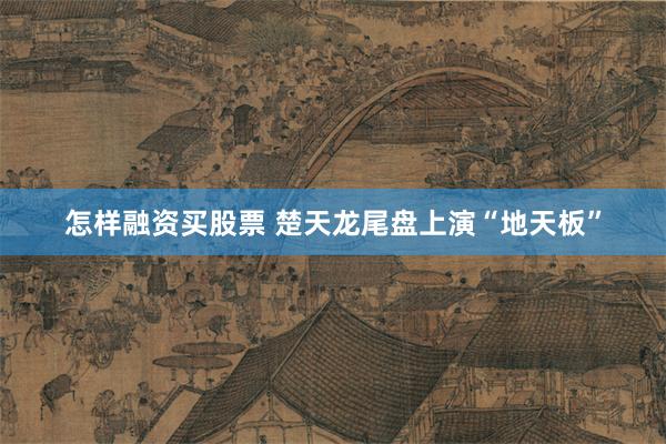 怎样融资买股票 楚天龙尾盘上演“地天板”