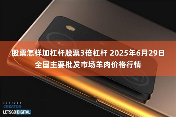 股票怎样加杠杆股票3倍杠杆 2025年6月29日全国主要批发市场羊肉价格行情