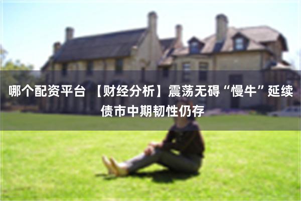 哪个配资平台 【财经分析】震荡无碍“慢牛”延续 债市中期韧性仍存