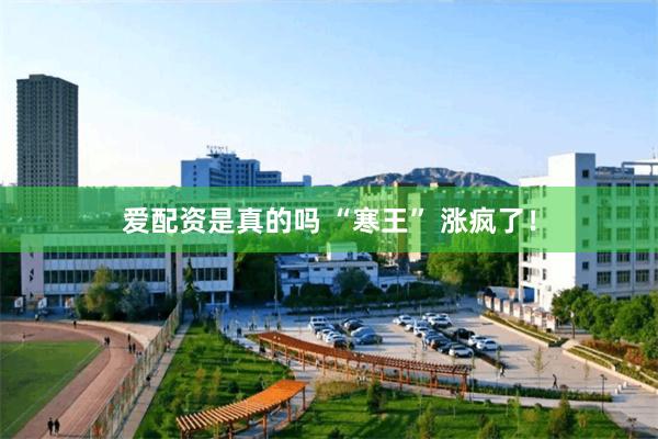 爱配资是真的吗 “寒王” 涨疯了！