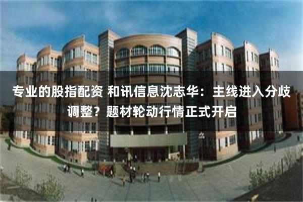 专业的股指配资 和讯信息沈志华：主线进入分歧调整？题材轮动行情正式开启