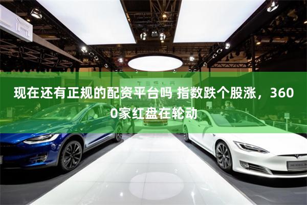 现在还有正规的配资平台吗 指数跌个股涨，3600家红盘在轮动