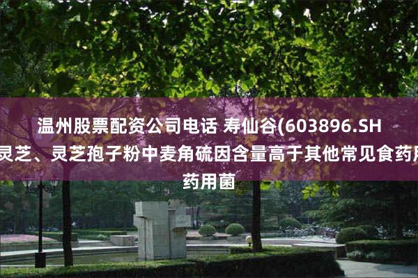 温州股票配资公司电话 寿仙谷(603896.SH)：灵芝、灵芝孢子粉中麦角硫因含量高于其他常见食药用菌