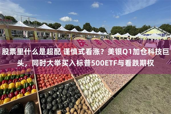 股票里什么是超配 谨慎式看涨？美银Q1加仓科技巨头，同时大举买入标普500ETF与看跌期权