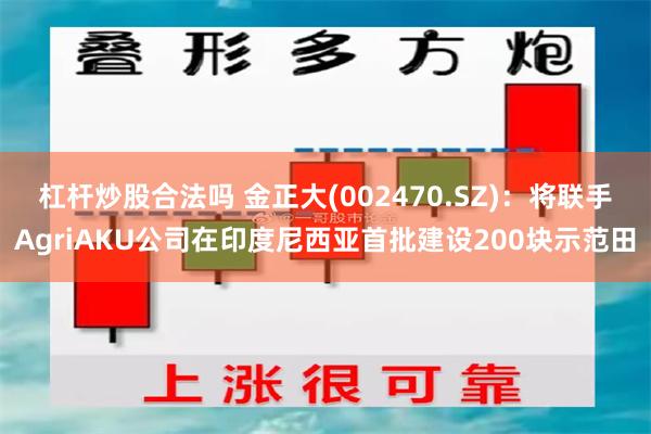 杠杆炒股合法吗 金正大(002470.SZ)：将联手AgriAKU公司在印度尼西亚首批建设200块示范田