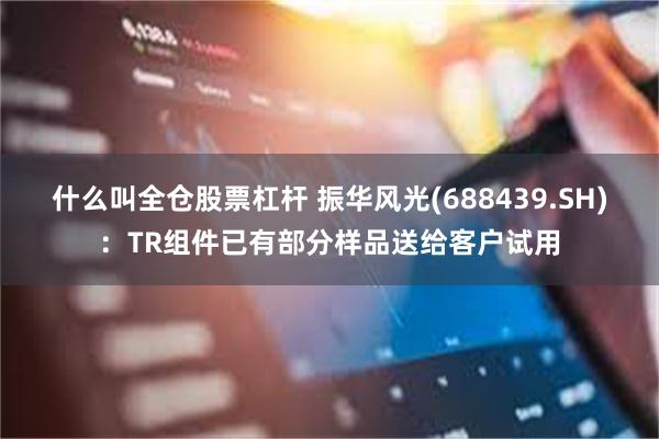 什么叫全仓股票杠杆 振华风光(688439.SH)：TR组件已有部分样品送给客户试用