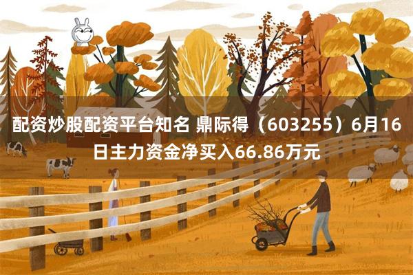 配资炒股配资平台知名 鼎际得（603255）6月16日主力资金净买入66.86万元