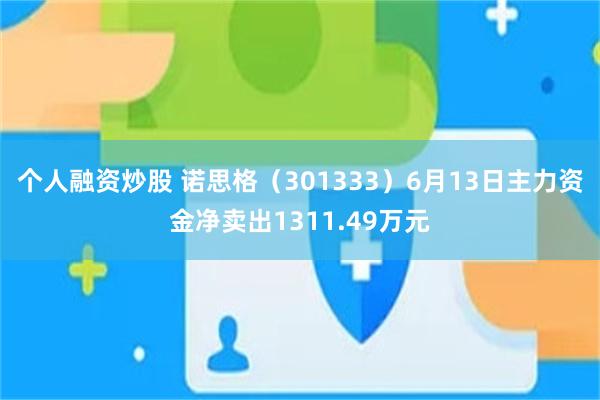 个人融资炒股 诺思格（301333）6月13日主力资金净卖出1311.49万元