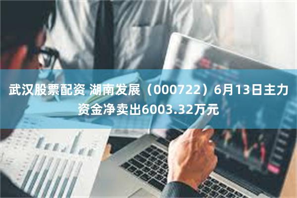 武汉股票配资 湖南发展（000722）6月13日主力资金净卖出6003.32万元