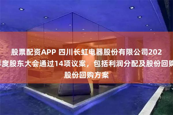 股票配资APP 四川长虹电器股份有限公司2024年年度股东大会通过14项议案，包括利润分配及股份回购方案