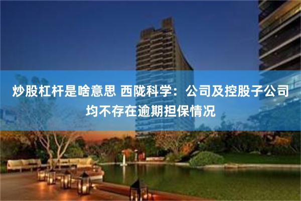 炒股杠杆是啥意思 西陇科学:公司及控股子公司均不存在逾期担保情况