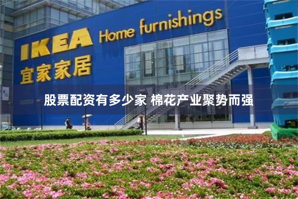 股票配资有多少家 棉花产业聚势而强