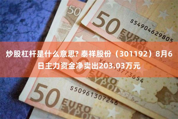炒股杠杆是什么意思? 泰祥股份（301192）8月6日主力资金净卖出203.03万元