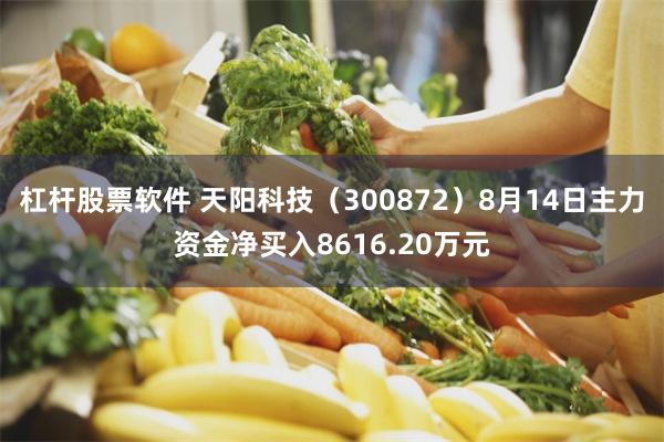 杠杆股票软件 天阳科技（300872）8月14日主力资金净买入8616.20万元