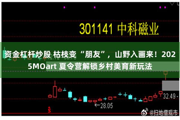 资金杠杆炒股 枯枝变 “朋友”,山野入画来!2025MOart 夏令营解锁乡村美育新玩法