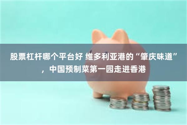 股票杠杆哪个平台好 维多利亚港的“肇庆味道”，中国预制菜第一园走进香港