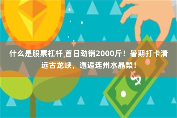 什么是股票杠杆 首日劲销2000斤！暑期打卡清远古龙峡，邂逅连州水晶梨！