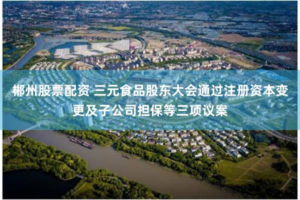 郴州股票配资 三元食品股东大会通过注册资本变更及子公司担保等三项议案