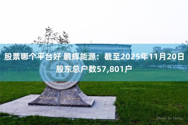 股票哪个平台好 鹏辉能源：截至2025年11月20日股东总户数57,801户