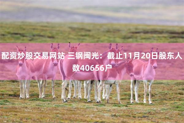 配资炒股交易网站 三钢闽光：截止11月20日股东人数40656户
