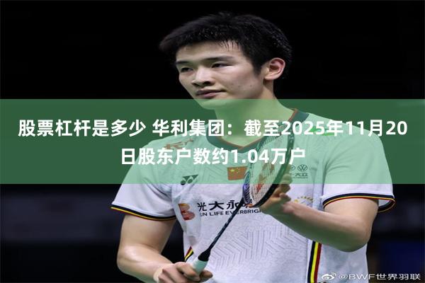 股票杠杆是多少 华利集团：截至2025年11月20日股东户数约1.04万户