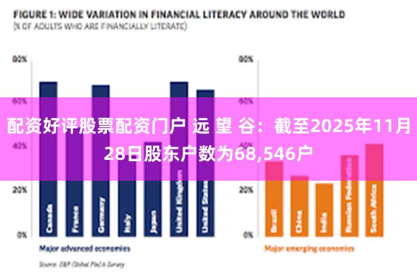 配资好评股票配资门户 远 望 谷：截至2025年11月28日股东户数为68,546户