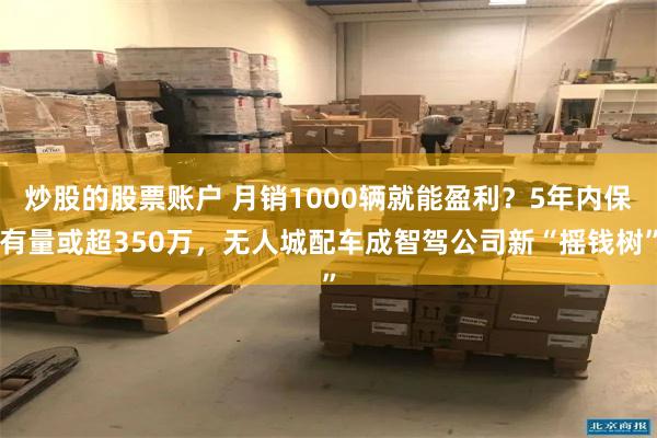 炒股的股票账户 月销1000辆就能盈利？5年内保有量或超350万，无人城配车成智驾公司新“摇钱树”