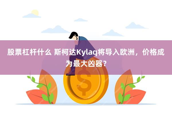 股票杠杆什么 斯柯达Kylaq将导入欧洲，价格成为最大凶器？
