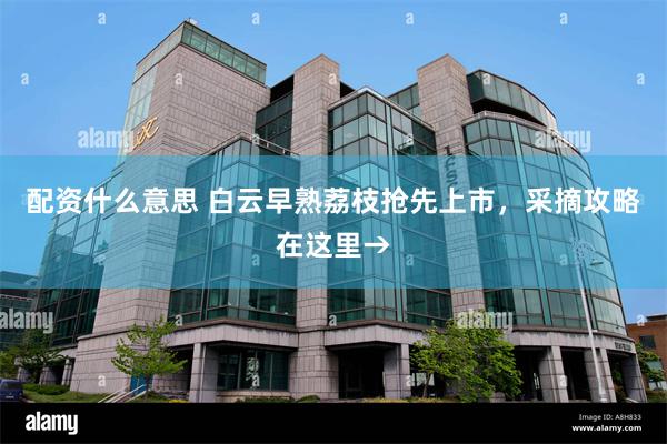 配资什么意思 白云早熟荔枝抢先上市，采摘攻略在这里→