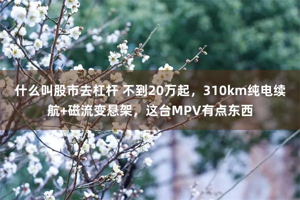 什么叫股市去杠杆 不到20万起,310km纯电续航+磁流变悬架,这台MPV有点东西