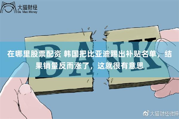 在哪里股票配资 韩国把比亚迪踢出补贴名单，结果销量反而涨了，这就很有意思