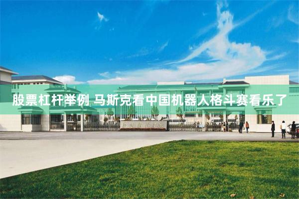 股票杠杆举例 马斯克看中国机器人格斗赛看乐了