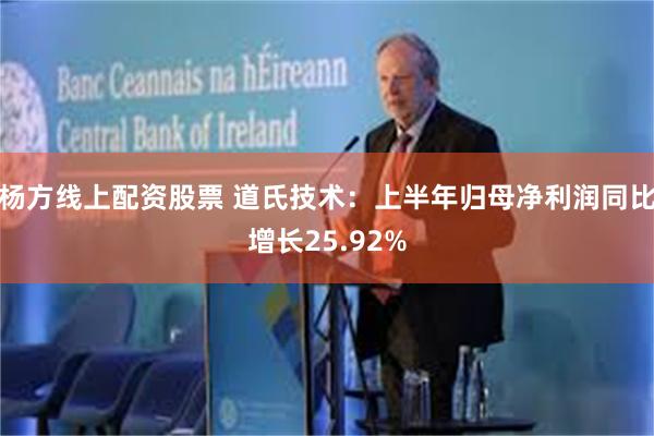 杨方线上配资股票 道氏技术:上半年归母净利润同比增长25.92%