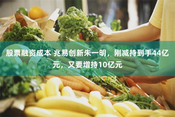 股票融资成本 兆易创新朱一明，刚减持到手44亿元，又要增持10亿元
