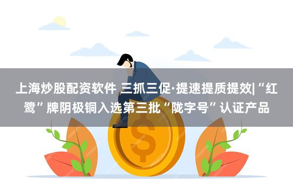 上海炒股配资软件 三抓三促·提速提质提效|“红鹭”牌阴极铜入选第三批“陇字号”认证产品