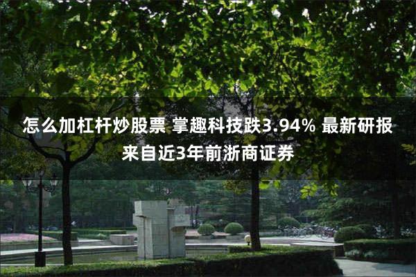 怎么加杠杆炒股票 掌趣科技跌3.94% 最新研报来自近3年前浙商证券