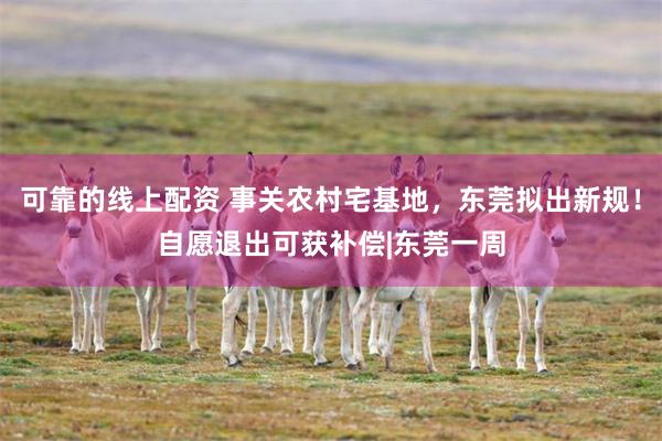 可靠的线上配资 事关农村宅基地，东莞拟出新规！自愿退出可获补偿|东莞一周